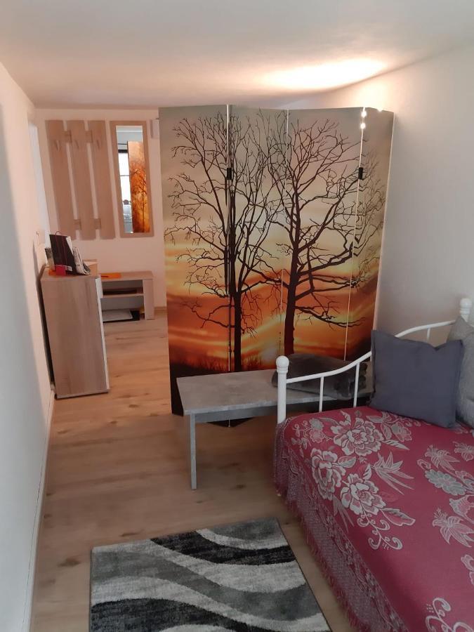 Familienfreundliche Ferienwohnung Zschorlau 外观 照片